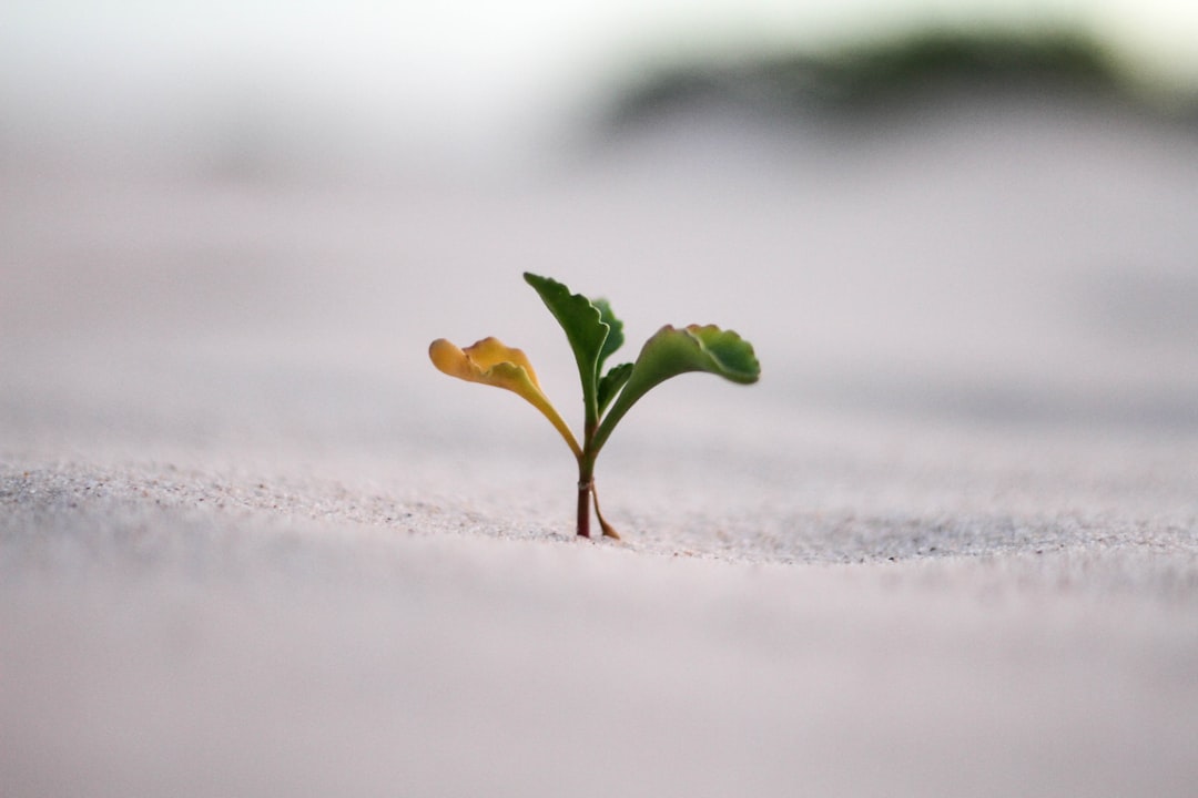 Developing a Long-Term Financial Vision